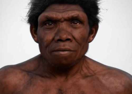 Ancient Chinese Skull Helps Uncover The Evolutionary Process, Origin of Homo sapiens